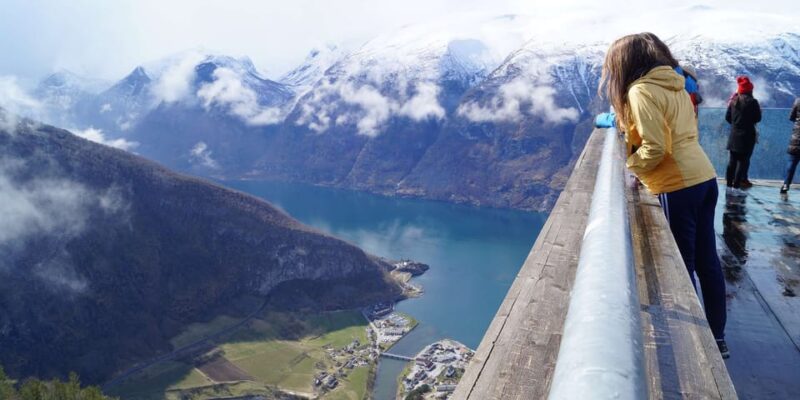 Bergen: Nærøyfjord, Flåm, and Stegastein Guided Bus Tour - Inclusions
