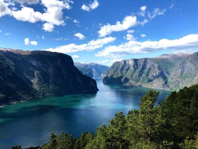 Bergen: Nærøyfjord, Flåm, and Stegastein Guided Bus Tour - Nærøyfjord Cruise and Photo Stop