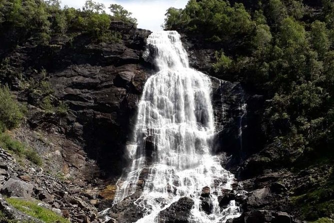 Bergen Private City Meets Fjord Group Tour - Highlights of the UNESCO Site