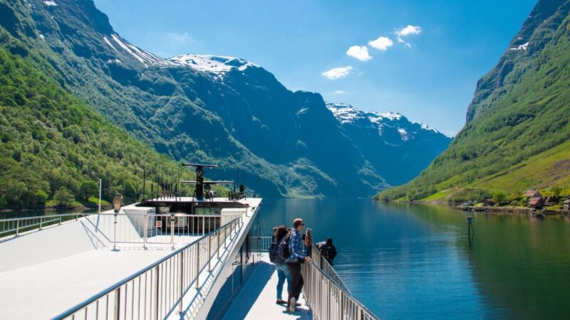 Bergen: Private Day Tour, Nærøyfjord Cruise and Flåm Railway - Experience Highlights