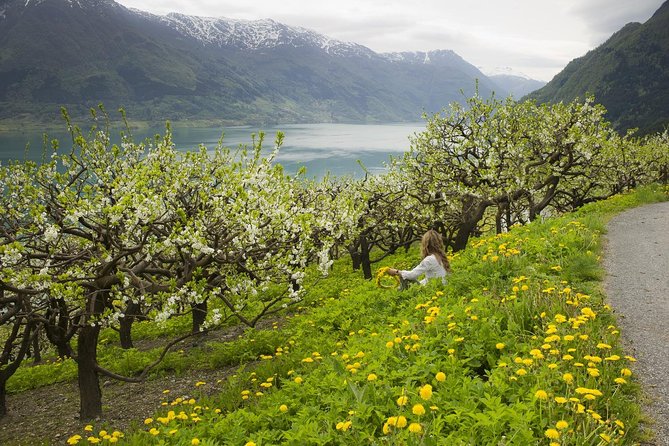 Bergen: Private Full-Day Roundtrip to Hardangerfjord With Cruise - Vøringfossen Waterfall