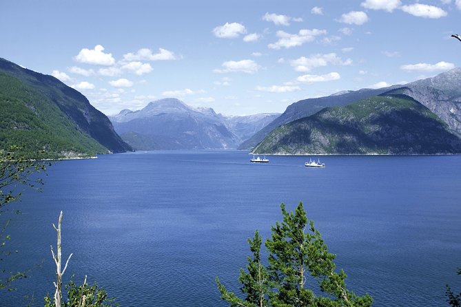 Bergen: Private Full-Day Roundtrip to Hardangerfjord With Cruise - Norwegian Lunch Experience