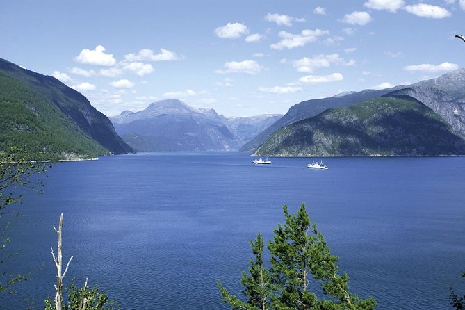 Bergen: Private Full-Day Roundtrip to Hardangerfjord With Cruise - Private Transportation