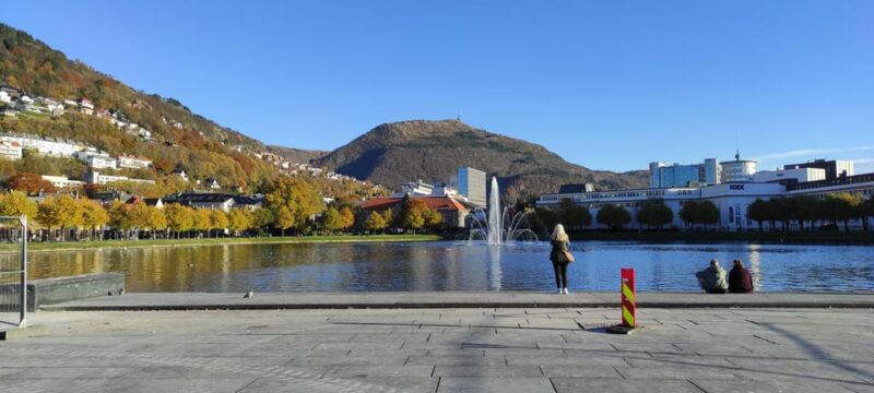 Bergen: Private Tour in Your Own Language - Experience and Accessibility