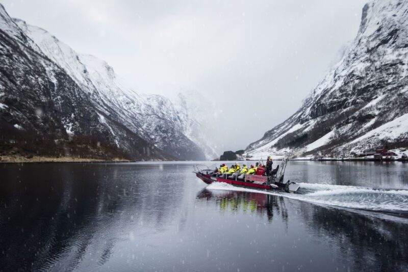 Bergen: RIB Sognefjord Safari and Flåm Railway Private Tour - Tour Itinerary