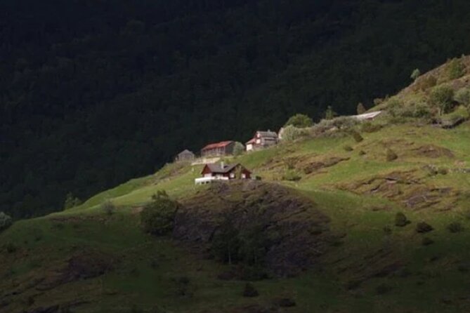Bergen to Flam The King of Fjords One-Way or Round-Trip Cruise Ticket - Stunning Scenery of Sognefjord
