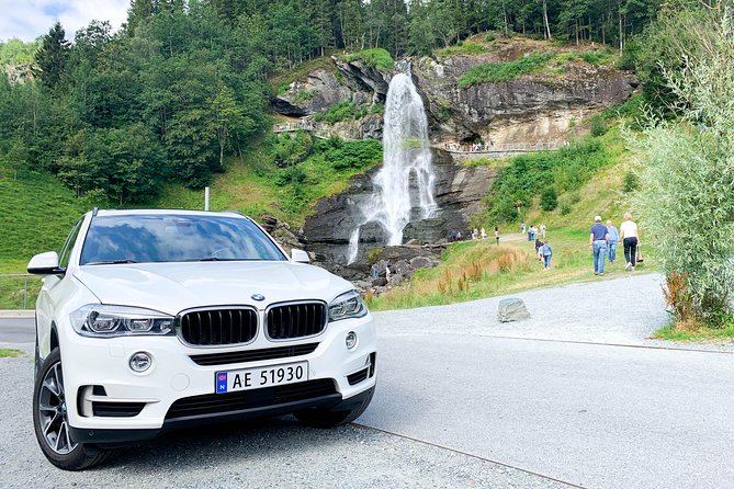 Bergen to Hardangerfjord VIP Car + Private Yacht Fjord Cruise - Customer Reviews and Testimonials