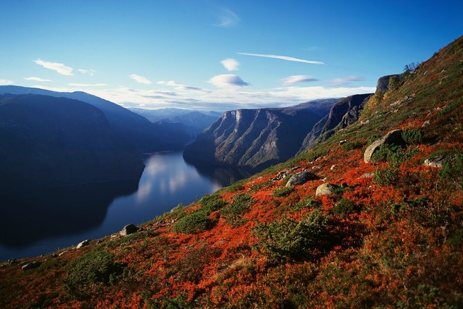 Bergen to Sognefjord Private Roudtrip With Cruise and Flasmbana - Scenic Stops and Viewpoints