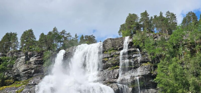 Bergen: Walking Tour - Tour Overview and Pricing