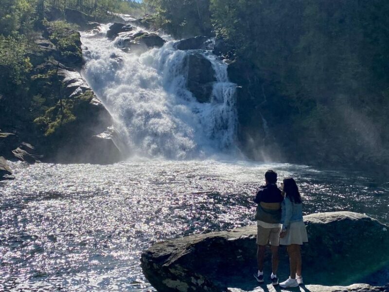 Bergen: Waterfalls of Hardangerfjord Guided Tour - Key Points