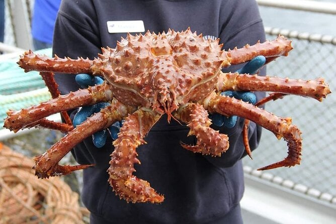 Bering Sea Crab Fishermans Tour From Ketchikan - Vessel and Crew