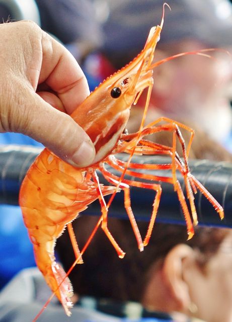 Bering Sea Crab Fishermens Tour - Tour Recognition