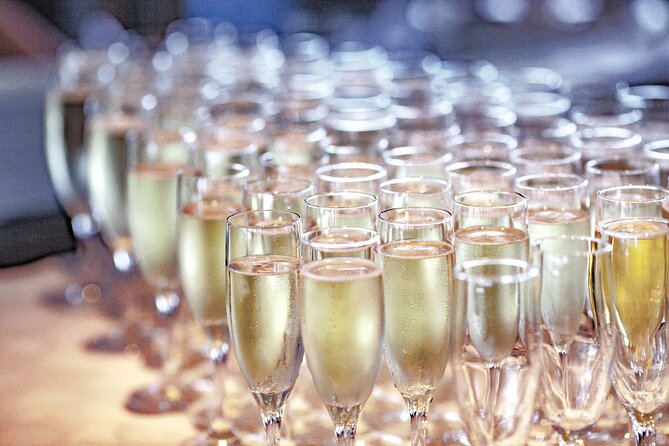 Berkeley New Years Eve Plated Dinner Cruise - Entertainment Highlights
