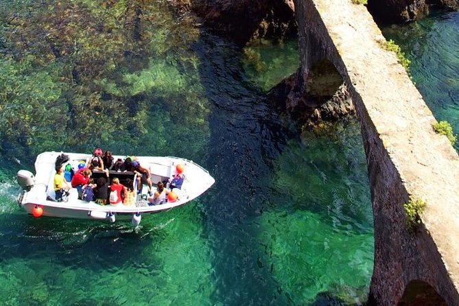 Berlenga Island Small-Group Day Trip From Lisbon - Important Trip Details and Considerations