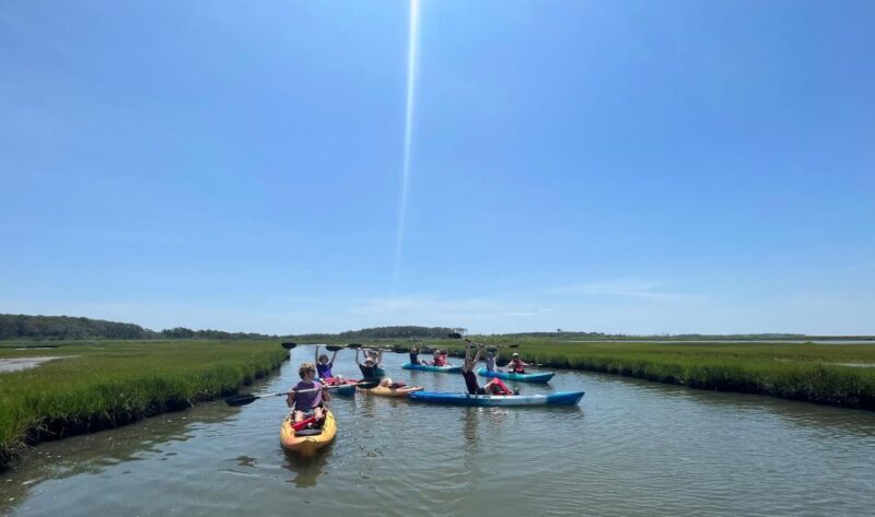 Berlin: Assateague Island Wildlife Discovery Kayak Tour - Experience Highlights