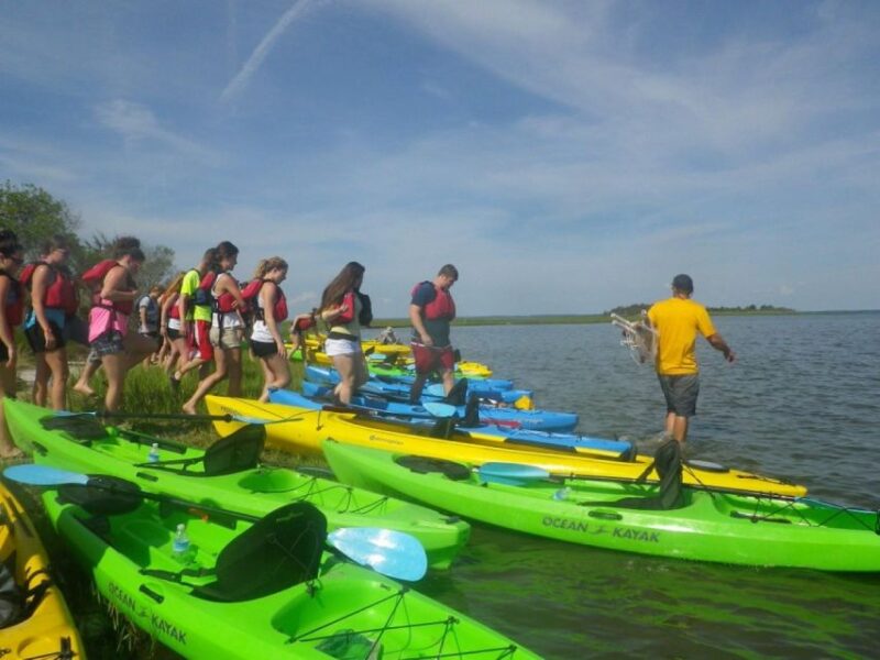 Berlin: Assateague Island Wildlife Discovery Kayak Tour - Wildlife Encounter