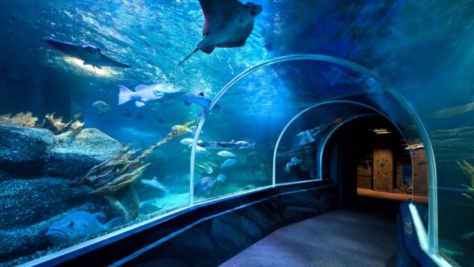 Berlin: Berlin Dungeon, Sea Life, & Madame Tussauds Tickets - Language and Customer Reviews