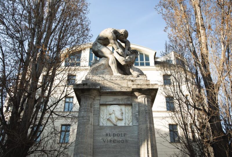 Berlin: Charité Walking Tour - Meeting Point and Starting Time