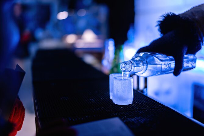 Berlin Combo: Hop-On-Hop-Off Bus and Icebar Ticket - Ticket Inclusions