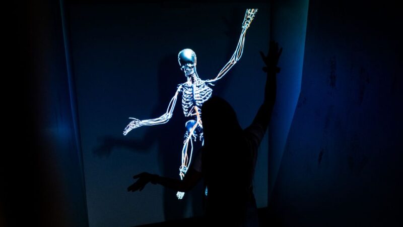 Berlin: Interactive DeJa Vu Museum Entrance Ticket - Exhibits and Experiences