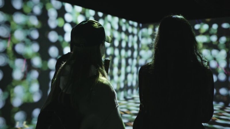 Berlin: Khroma Immersive Art Experience - Inclusions