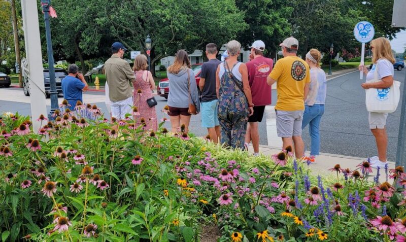 Berlin, Maryland: Historic Walking Food Tour With Tastings - Pricing and Logistics