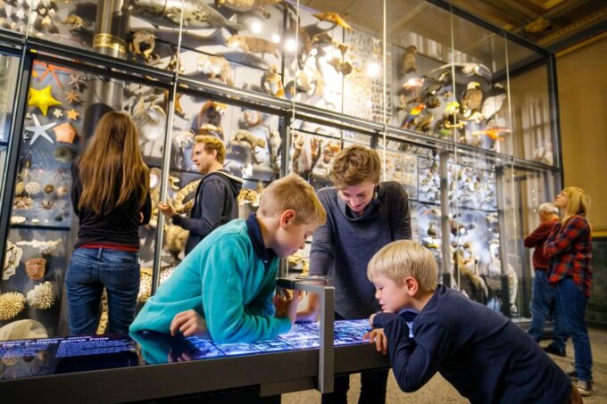 Berlin: Natural History Museum Entrance Ticket - Accessibility and Language Support