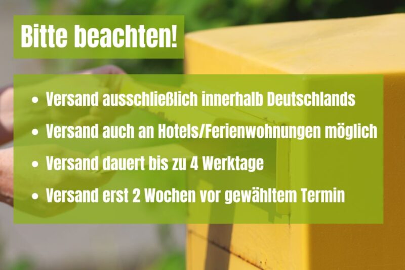 Berlin Prenzlauer Berg: Scavenger Hunt Self-Guided Tour - Scavenger Hunt Details