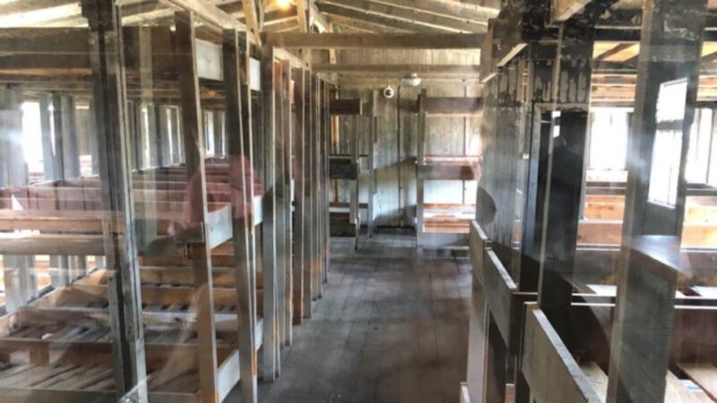 Berlin: Sachsenhausen Concentration Camp Guided Tour - Accessibility and Inclusions