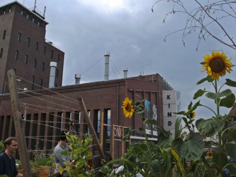 Berlin: Schillerkiez and Rollberg Walking Tour - Customer Feedback