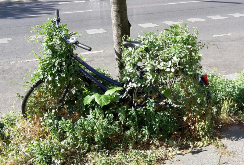 Berlin: Street Art and Alternative Tour - Customer Reviews and Ratings