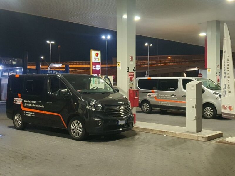 Berlin Tegel Airport (TXL): Private Transfer to Berlin - Driver and Vehicle Information