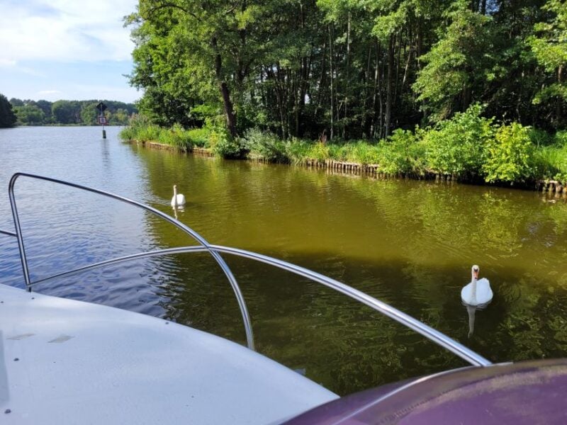 Berlin:Guided South Berlin Yacht Tour With Swim Stop (Relax) - Inclusions and Exclusions