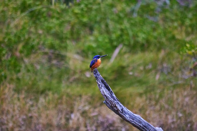 Bermagui River Kayak Tour - Meeting Information