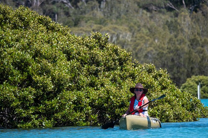 Bermagui River Kayak Tour - Health and Safety Restrictions