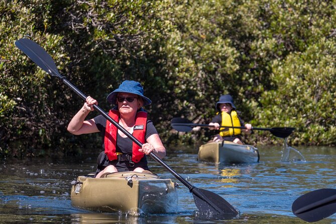 Bermagui River Kayak Tour - Booking Information