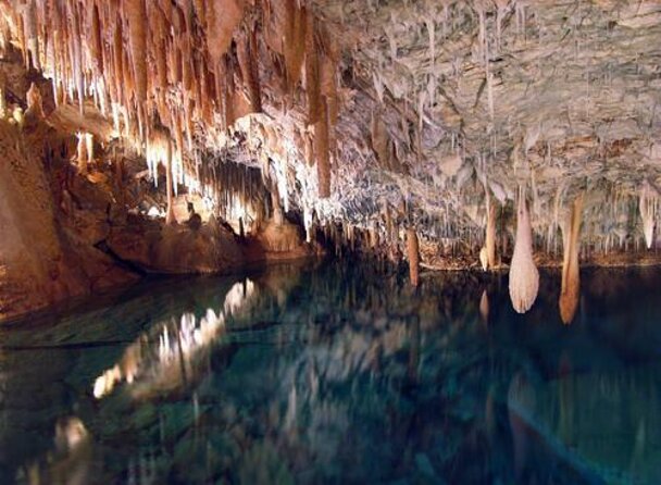 Bermuda Aquarium and Crystal Caves Admission - About Your Stay