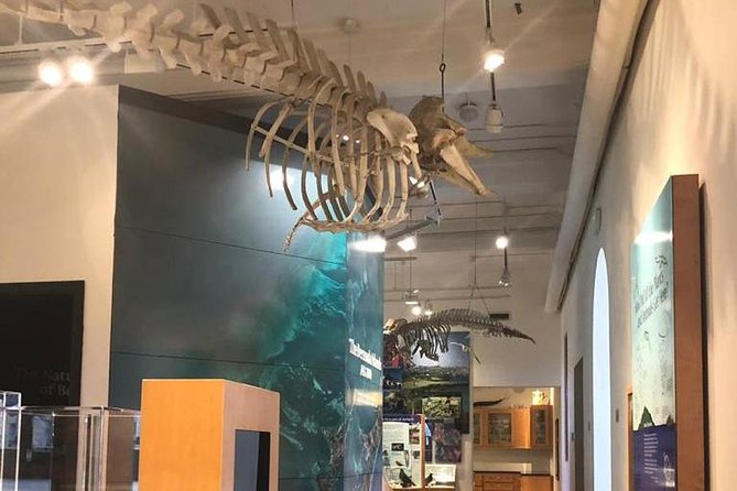 Bermuda Aquarium and Crystal Caves Admission - Aquarium Exploration