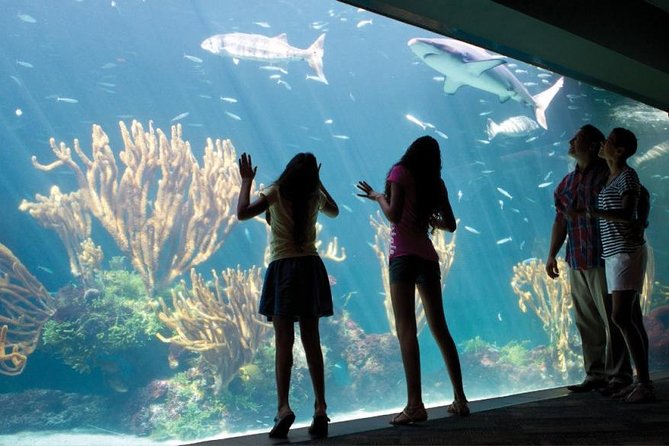 Bermuda Aquarium and Crystal Caves Admission - Guide Highlights
