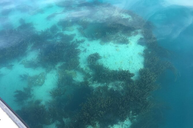 Bermuda Glass Bottom Boat Cruise - Overview and Experience