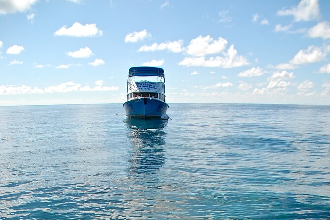 Bermuda Glass Bottom Boat Cruise - Negative Feedback