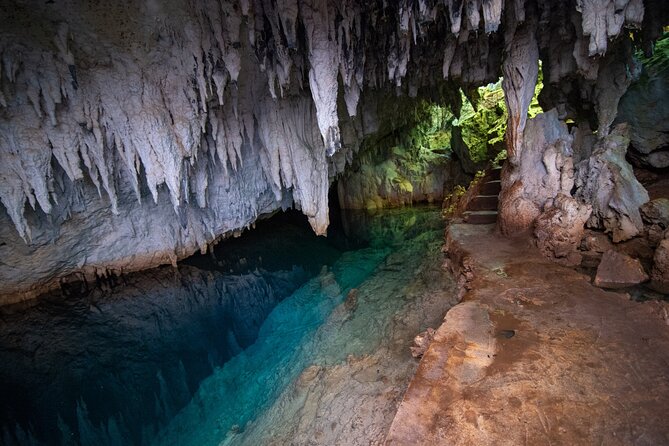 Bermuda Hidden Gems Summer Excursion - Inclusions and Amenities