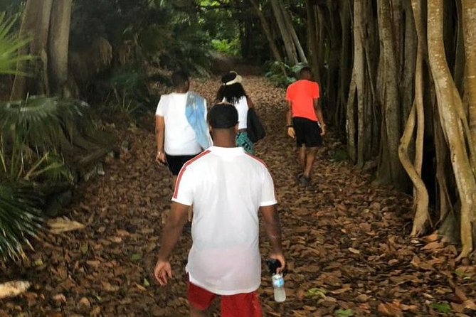 Bermuda Railway Trail and Off The Beaten Path Walking Experience - Native Foliage and Nature Reserve