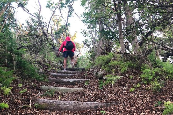Bermuda Railway Trail and Off The Beaten Path Walking Experience - Taking in Bermudas Wildlife