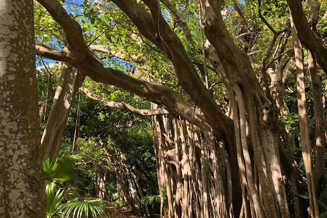 Bermuda Railway Trail and Off The Beaten Path Walking Experience - Tour Requirements and Pricing