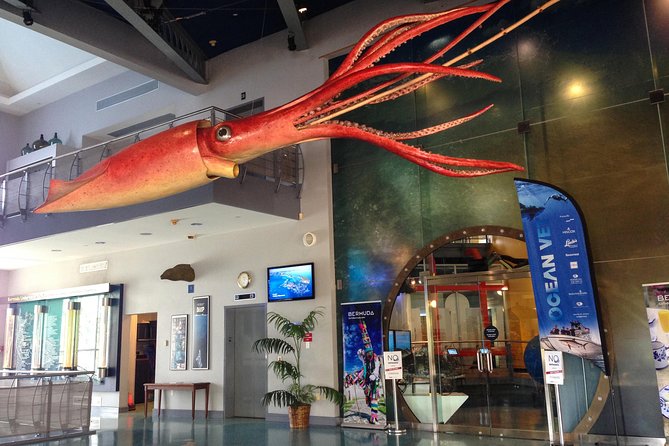 Bermuda Underwater Exploration Institute and Aquarium Adventure Day - Private Transportation and Admission Included