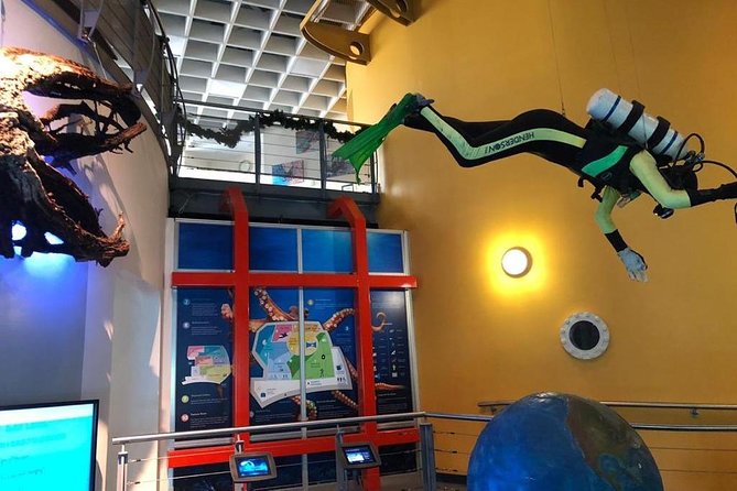 Bermuda Underwater Exploration Institute and Aquarium Adventure Day - Wheelchair Accessible Transportation Available