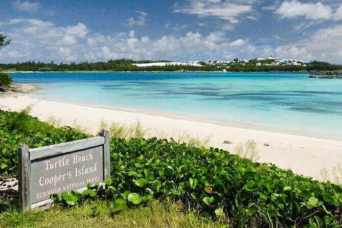 Bermudaful Island Beach Hop - Transport and Group Dynamics