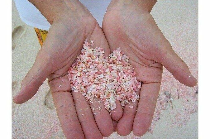 Bermudaful Island Beach Hop - How the Experience Feels