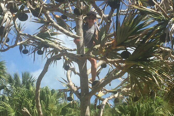 Bermudian Cooking Class" and Walking Shared Tour - Key Points